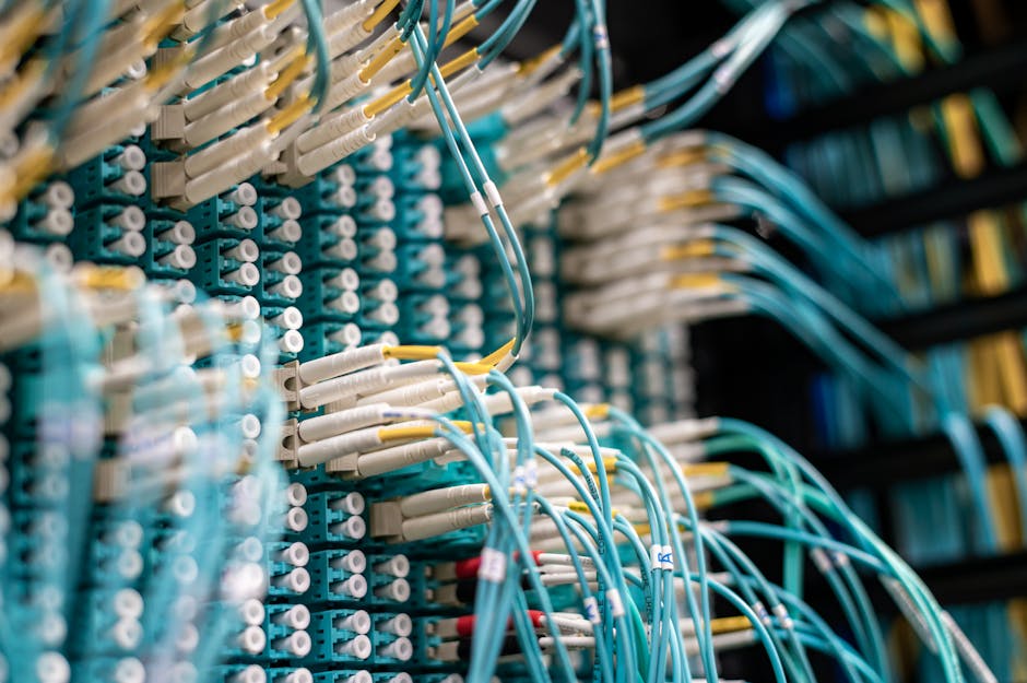 Network cables in server room representing CCNA certification preparation